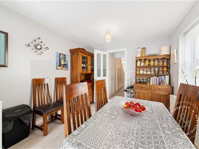 Picture 13